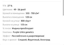 IMG_1959.jpeg