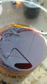 IMG_20251215_133211.jpg