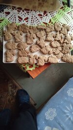 IMG_20251219_153100_885.jpg
