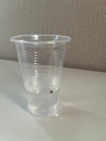 IMG_4825.jpeg