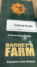 IMG_4835.jpeg