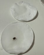 IMG_4844.jpeg