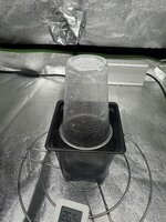 IMG_4861.jpeg