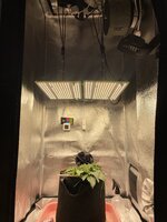 IMG_2010.jpeg