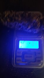 IMG_20251221_210732.jpg