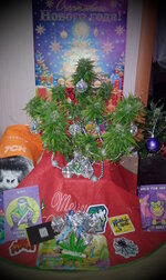 IMG_20251227_165420.jpg