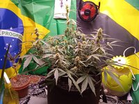 IMG_20251230_104914.jpg