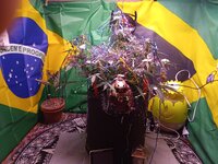 IMG_20251231_090148.jpg