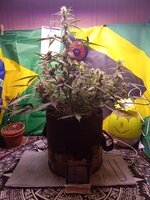 IMG_20260106_055849.jpg