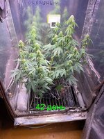IMG_2313.jpeg