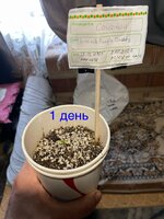 IMG_2317.jpeg