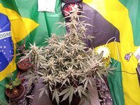 IMG_20260110_042303.jpg