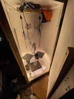 IMG_2364.jpeg