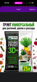 IMG_0679.png