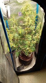 IMG_20260110_101750_137.jpg