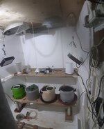20260119_063842.jpg 20260119_063842.jpg