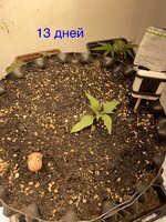 IMG_2567.jpeg