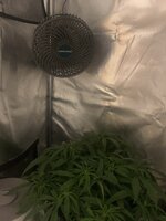 IMG_9589.jpeg