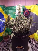 IMG_20260122_095342.jpg