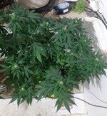 20260123_070711.jpg 20260123_070711.jpg