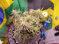 IMG_20260123_035354.jpg