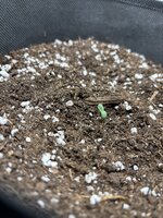 IMG_0759.jpeg