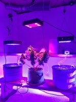 20260126_064705.jpg 20260126_064705.jpg