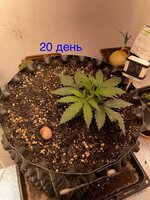 IMG_2762.jpeg