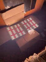 IMG_2644.jpeg