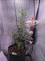 PXL_20260128_074121423.jpg