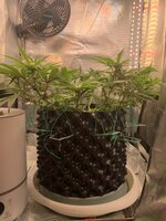 IMG_9673.jpeg