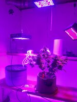 20260129_054323.jpg 20260129_054323.jpg