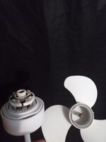 IMG_20260118_172656_912.jpg