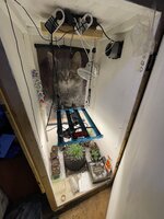 IMG_2922.jpeg