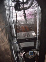 DSCF2712.JPG