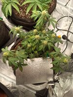 IMG_20260204_230813.jpg