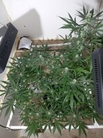 20260208_065839.jpg
