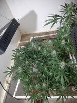 20260209_055919.jpg