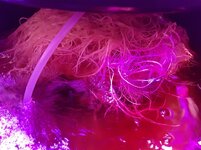 20260209_055841.jpg