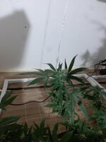 20260209_055727.jpg