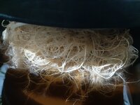 20260210_060036.jpg