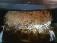 20260212_054947.jpg