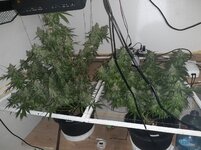 20260212_062409.jpg