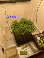 IMG_3052.jpeg