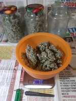 20260215_054453.jpg