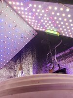 IMG_20250419_094402.jpg