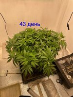 IMG_3088.jpeg