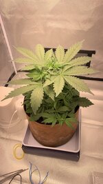 IMG_4793.jpeg