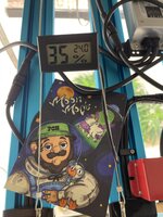 IMG_3169.jpeg