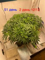 IMG_3227.jpeg